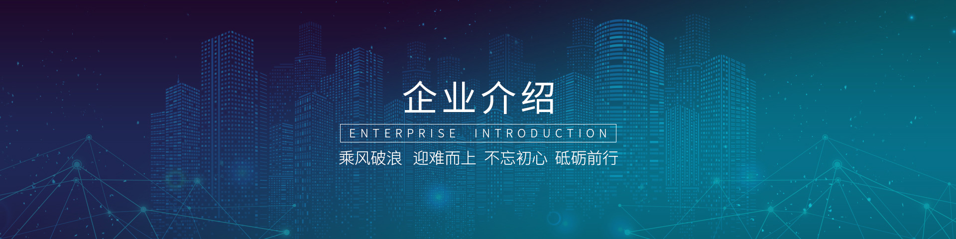 LDSports集团公司先容